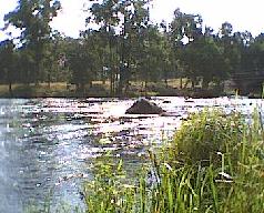Fluss