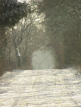 Winter war